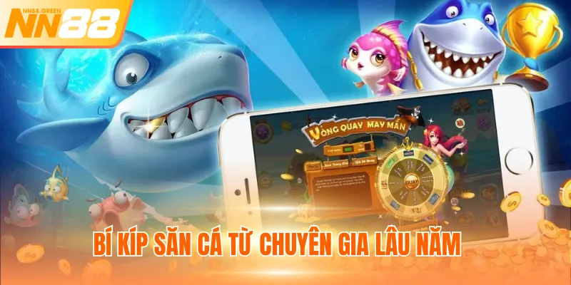 Bí kíp săn cá từ chuyên gia lâu năm