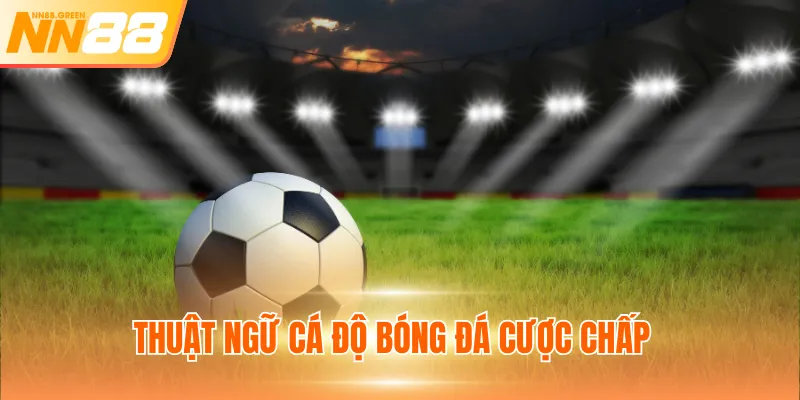 Thuật ngữ cá độ bóng đá cược chấp